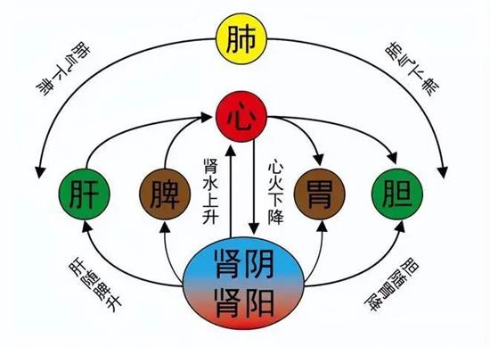 【中医养生篇】气为何物？气不足如何补气？一文带你读懂！