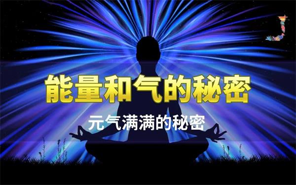 中医揭秘：人体经络与人体之“气”间的——能量关系！