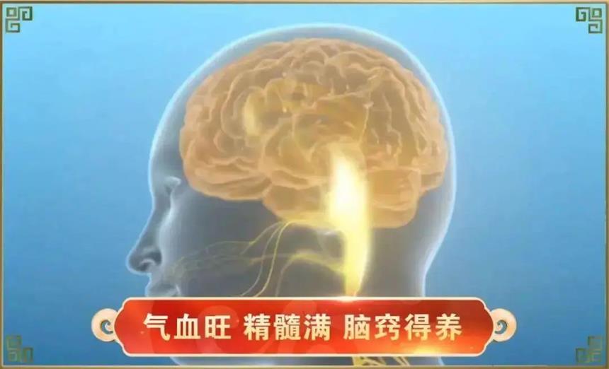 记忆力减退：是由于精不足，髓不满造成的！精足髓满人才更聪明