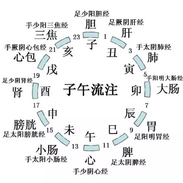 晚睡+晚起=双杀阳气！ 这几招“补救方法”，赶紧用起来！