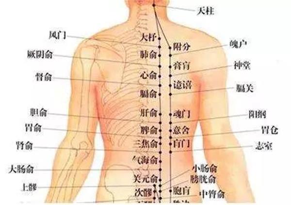 晚睡+晚起=双杀阳气！ 这几招“补救方法”，赶紧用起来！