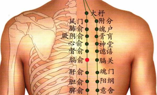 晚睡+晚起=双杀阳气！ 这几招“补救方法”，赶紧用起来！