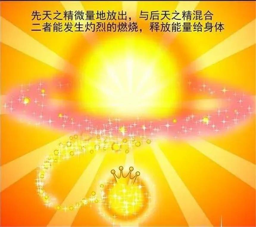 中医养生：先天之精≈元气+肾精+五脏信息！