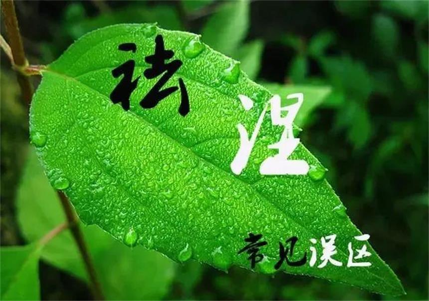 真确懂行的好中医，是这样治疗肾虚、阳痿、早泄等男科疾病的！