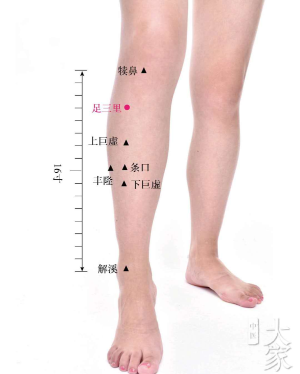 一天都在看手机，肾精也在慢慢消耗，一个小动作帮你益肾固精！