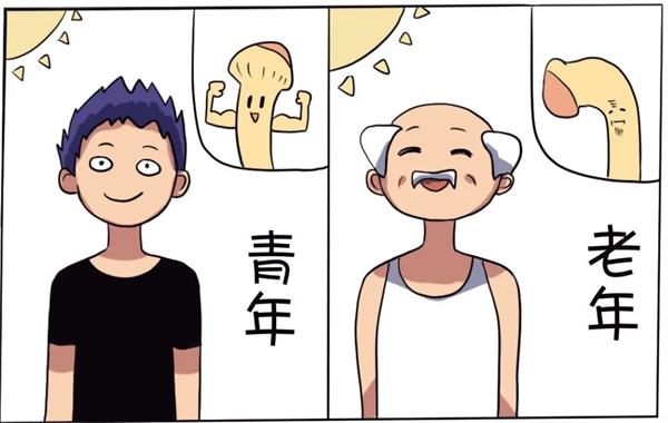 男人必看！晨勃消失，意味着「性无力」？