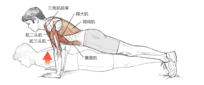 感觉身体被掏空？老中医教你如何：补肾虚，固精元，精力充沛每一天！