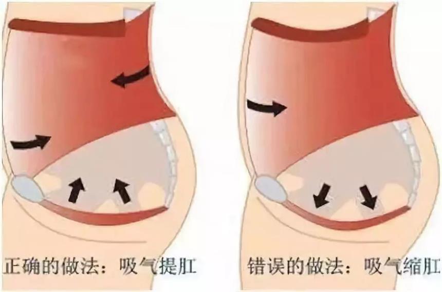 感觉身体被掏空？老中医教你如何：补肾虚，固精元，精力充沛每一天！