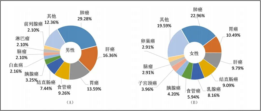 肺癌并非不治之症，中医破解致癌根源，力挽狂澜！