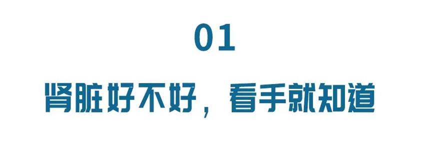 手上有这个表现，是肾在“求救”！3个“法宝”，帮你补肾气、强体质~