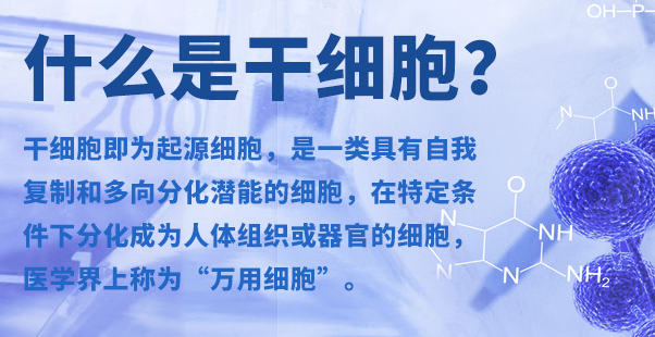 干细胞对糖尿病的作用？国内干细胞打一针多少钱？