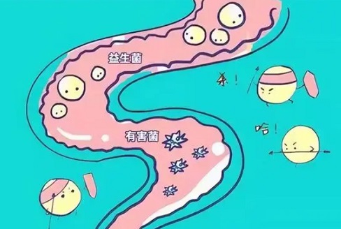 北京肠道菌群移植哪家医院好？盘点针对肠炎的益生菌的相关知识！