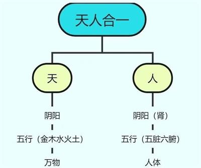 修行人追求的“长生不老”，其实就是一个“增阳消阴”的过程！