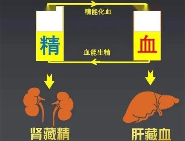 “导龙入海，引火归元”——浅谈中医治法中的“引火归元”！
