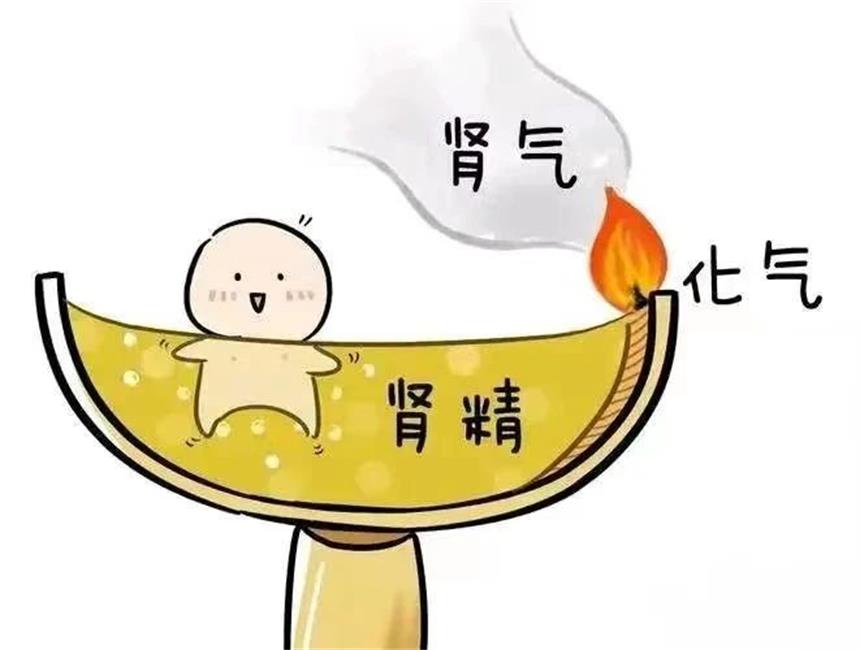 所谓的比拼免疫力，说到底就是看谁的肾气更充足，这才是根本！