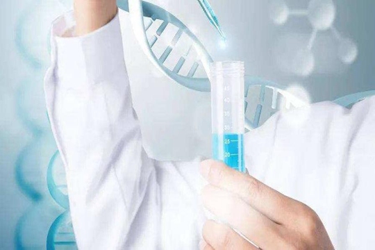 赣州做三代试管婴儿成功率如何？看完本文就知道