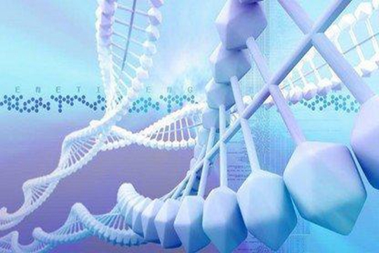 海口做三代试管婴儿成功率影响因素，这些都要防范