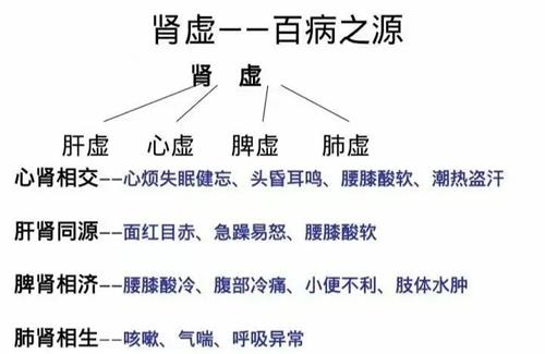 你到底是“阴虚”还是“阳虚”？看完就清楚！