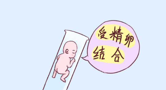 潮州做三代试管婴儿费用多少？看本文详细了解