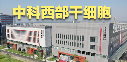 干细胞注射对身体有什么影响！？干细胞注射有没有副作用全面讲解