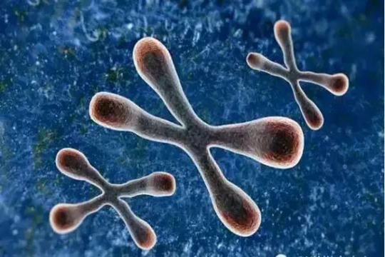 揭阳做三代试管费用影响因素,这些原因要多了解