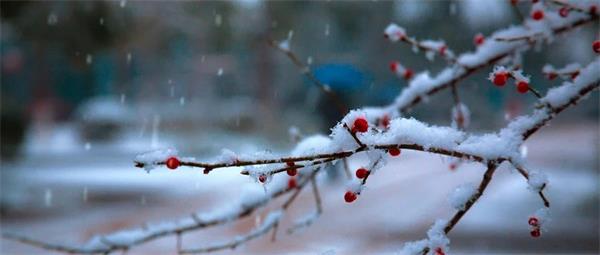 节气丨大雪过后，阳气归根的十五天，这些事再不做就晚了！