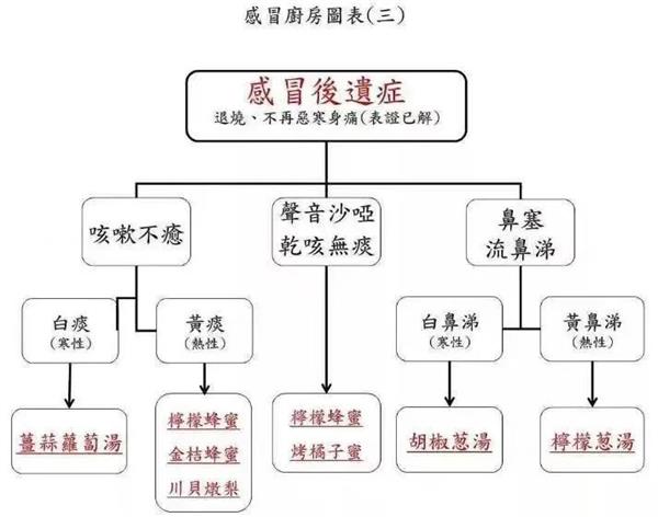 发烧嗓子疼买不到药？倪海厦：厨房里的食物就可以，方便又简单！