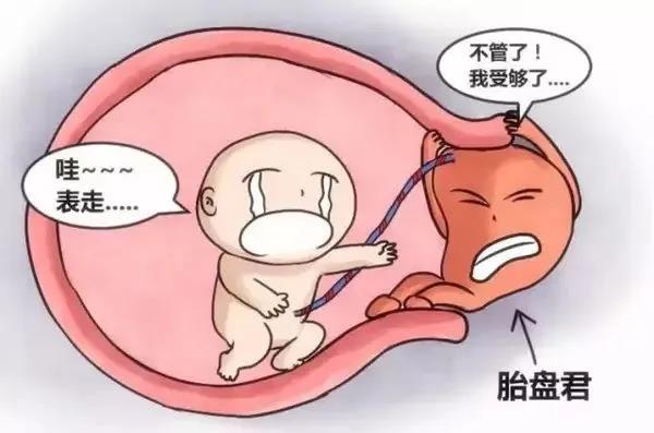 【注意】如何降低胎停育的发生几率?