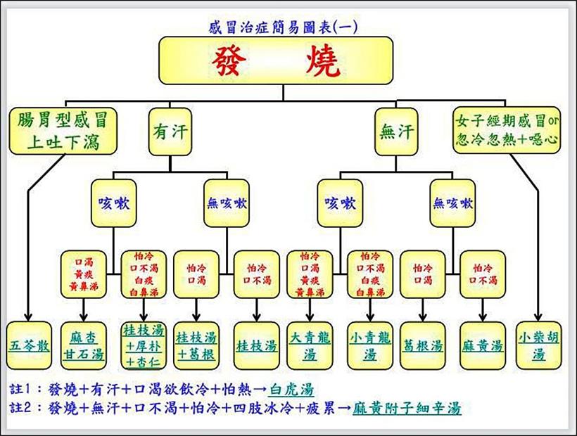 倪海厦：教大家如何治各种感冒