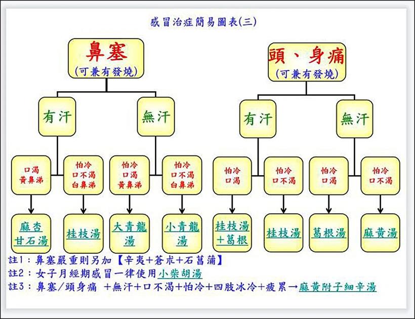 倪海厦：教大家如何治各种感冒