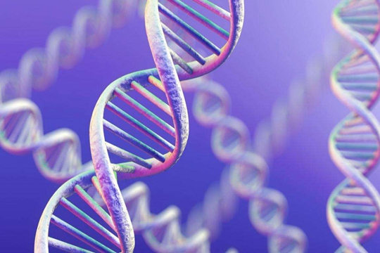 益阳做三代试管婴儿要多了解什么？带你了解一番