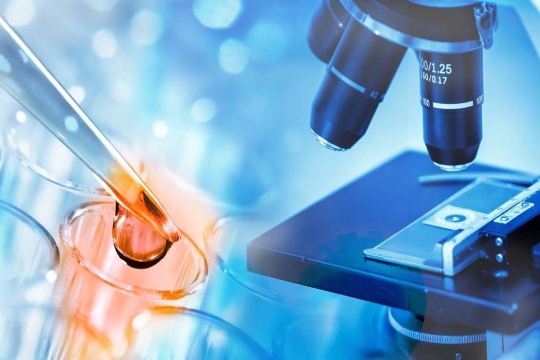 益阳做三代试管婴儿要多长时间?2-3个月为一个周期