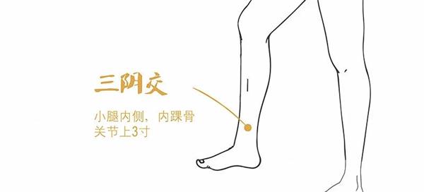 冬至后阴寒之气非常重，用好中医这个妙方！温阳暖身、固护正气、远离虚弱