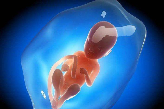 桂林做三代试管婴儿成功率有多少？一般在40-50%左右