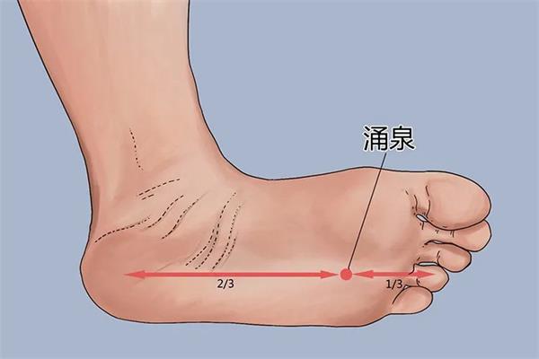 别吃错了，六味地黄丸并不补一切肾虚！想要补肾，先读懂本文