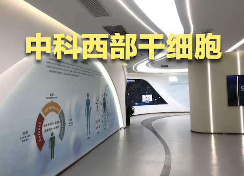 干细胞好不好！2024干细胞价格多少钱？