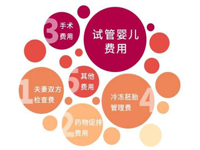 重庆第三代试管婴儿怀孕大概费用(私立机构试管怀孕费用表)