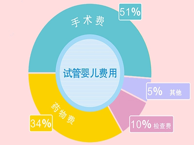 重庆做试管婴儿怀孕的全部费用大概是多少?费用详细表