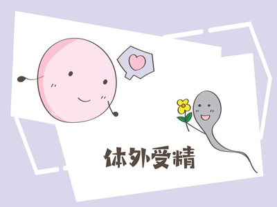 重庆私立试管婴儿助孕机构排名靠前(私立试管助孕费用表)