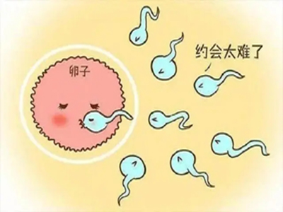 南宁试管婴儿助孕成功率(南宁有哪些私立助孕机构)