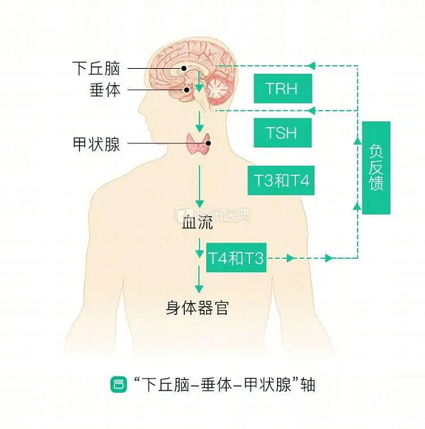 肿瘤防治宣传周暨北京航天总医院季宇教授会诊活动即将开启