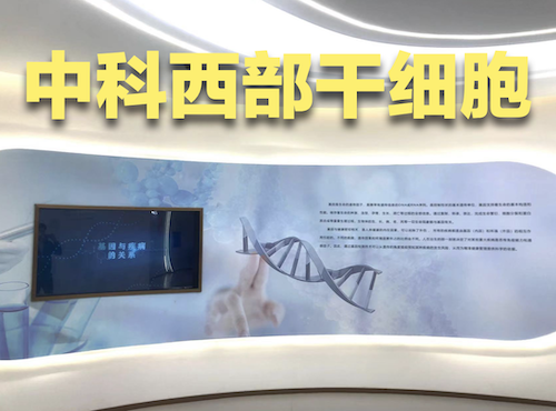 2024生物细胞免疫治疗乳腺癌要多钱，上海干细胞医院