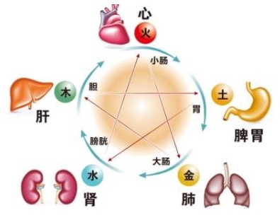 告别手汗尴尬，中医内调外治，还你干爽自信！