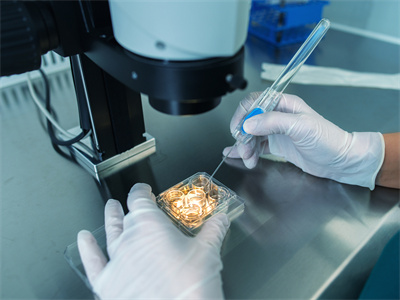 廣州三代試管正規(guī)機(jī)構(gòu)可靠嗎