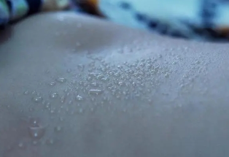 大量出汗=脱发加速？探究肾合胶囊能量平衡的神奇联系！