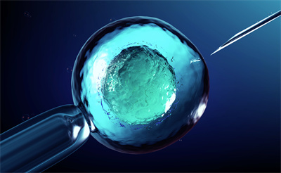 做试管的流程是怎么样的？胚胎移植阶段要注意什么？