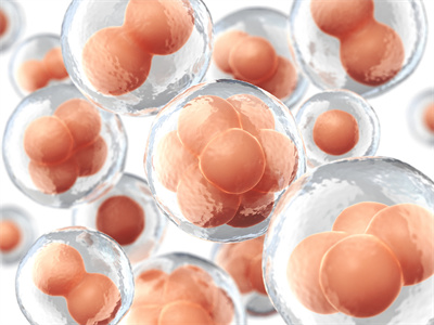 2024年國內(nèi)單身做試管要花多少錢？海外熱門單身試管費(fèi)用一覽