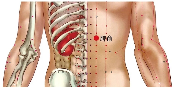 肾合胶囊助力，三穴推拿健脾胃，祛湿升阳显奇效，坚持用，效果亲眼见！