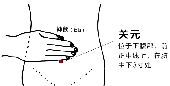 阳气不足别担忧，肾合胶囊配艾灸，肚子四大穴焕新生，健康活力自然来！