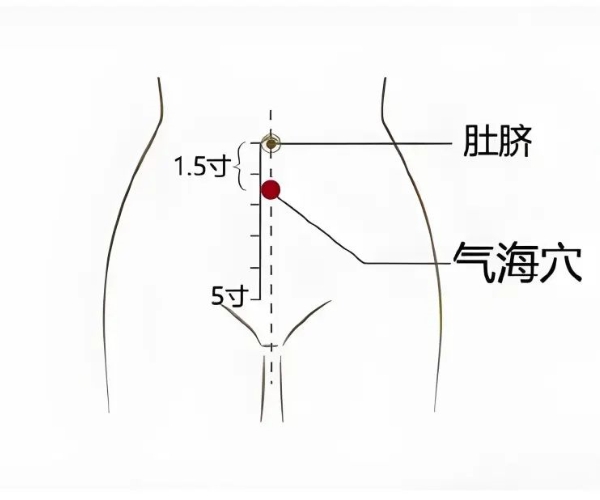 阳气不足别担忧，肾合胶囊配艾灸，肚子四大穴焕新生，健康活力自然来！